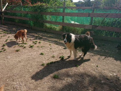 f:id:roukenhome-ann:20190519123237j:plain