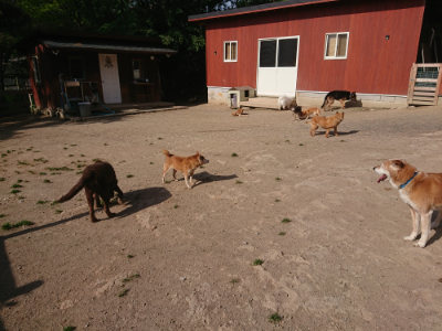 f:id:roukenhome-ann:20190519123244j:plain