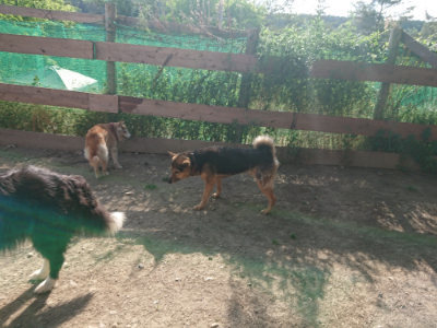f:id:roukenhome-ann:20190519123323j:plain