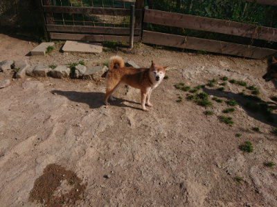 f:id:roukenhome-ann:20190519123414j:plain