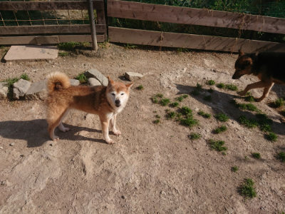 f:id:roukenhome-ann:20190519123419j:plain