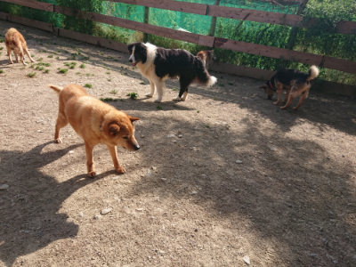 f:id:roukenhome-ann:20190519123445j:plain