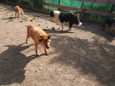 f:id:roukenhome-ann:20190519123454j:plain