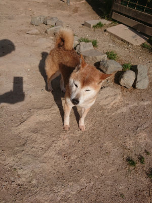 f:id:roukenhome-ann:20190519123500j:plain