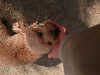 f:id:roukenhome-ann:20190519123512j:plain