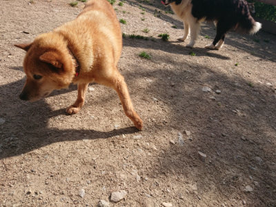 f:id:roukenhome-ann:20190519123529j:plain