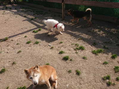 f:id:roukenhome-ann:20190519123616j:plain