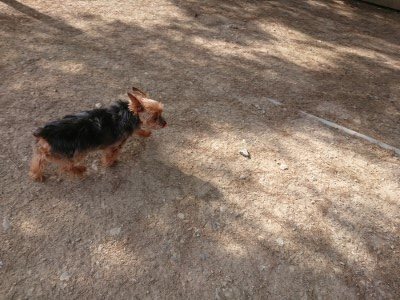 f:id:roukenhome-ann:20190519123706j:plain