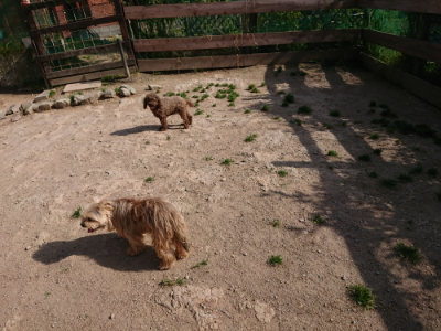 f:id:roukenhome-ann:20190519123711j:plain
