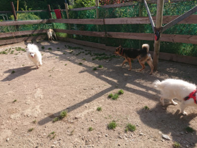 f:id:roukenhome-ann:20190519123727j:plain