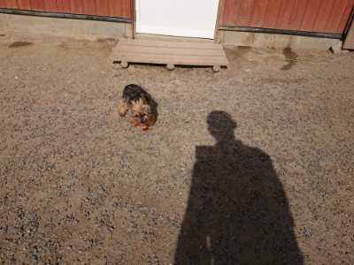 f:id:roukenhome-ann:20190519123746j:plain