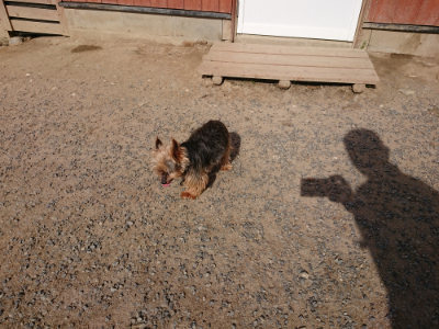 f:id:roukenhome-ann:20190519123755j:plain