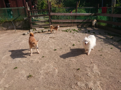 f:id:roukenhome-ann:20190519123801j:plain