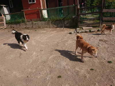 f:id:roukenhome-ann:20190519123817j:plain