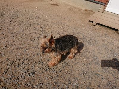 f:id:roukenhome-ann:20190519123847j:plain