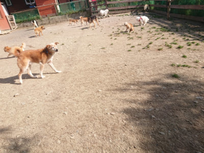 f:id:roukenhome-ann:20190519123912j:plain