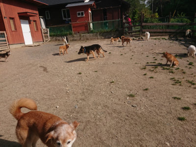 f:id:roukenhome-ann:20190519123922j:plain