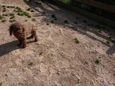 f:id:roukenhome-ann:20190519123934j:plain