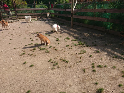 f:id:roukenhome-ann:20190519123940j:plain