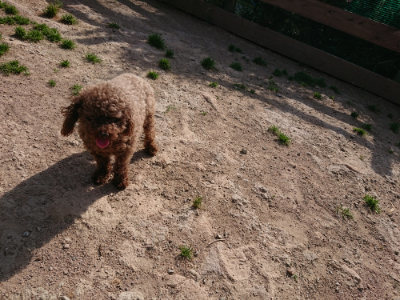 f:id:roukenhome-ann:20190519124004j:plain