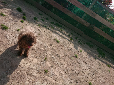 f:id:roukenhome-ann:20190519124013j:plain