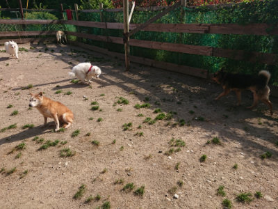 f:id:roukenhome-ann:20190519124022j:plain