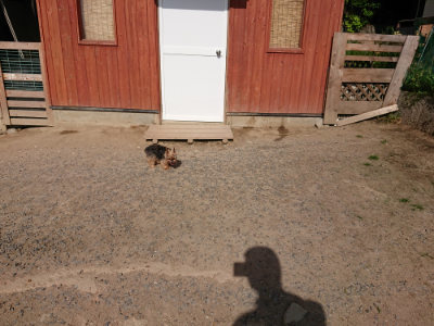 f:id:roukenhome-ann:20190519124048j:plain