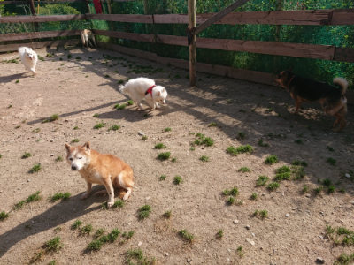f:id:roukenhome-ann:20190519124055j:plain