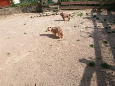 f:id:roukenhome-ann:20190519124327j:plain