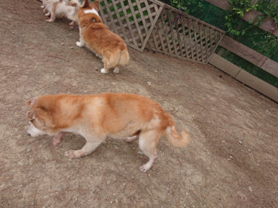 f:id:roukenhome-ann:20190519125554j:plain