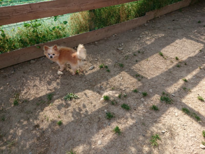 f:id:roukenhome-ann:20190519125616j:plain