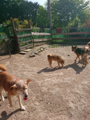 f:id:roukenhome-ann:20190519125643j:plain
