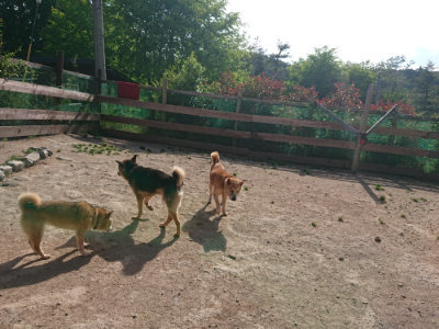 f:id:roukenhome-ann:20190519125700j:plain