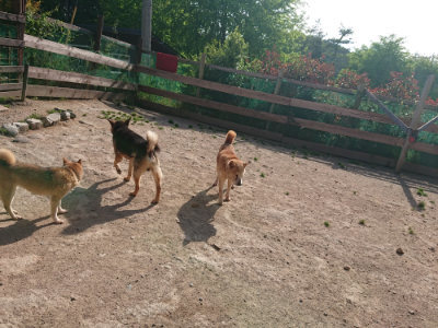 f:id:roukenhome-ann:20190519125719j:plain