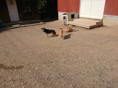 f:id:roukenhome-ann:20190519125808j:plain
