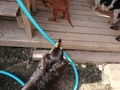 f:id:roukenhome-ann:20190519125813j:plain
