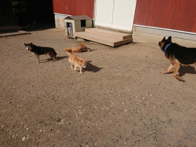 f:id:roukenhome-ann:20190519125819j:plain