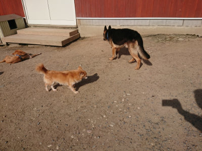 f:id:roukenhome-ann:20190519125840j:plain