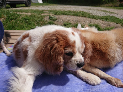 f:id:roukenhome-ann:20190519125846j:plain