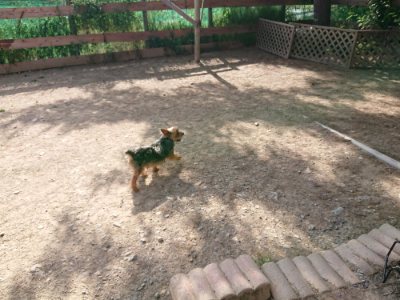 f:id:roukenhome-ann:20190519125859j:plain
