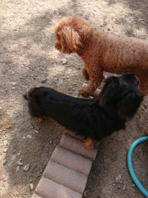 f:id:roukenhome-ann:20190519130003j:plain