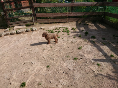 f:id:roukenhome-ann:20190519130040j:plain
