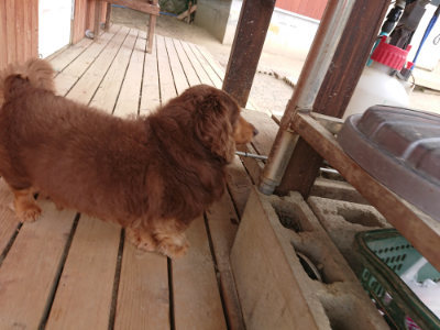 f:id:roukenhome-ann:20190519130115j:plain