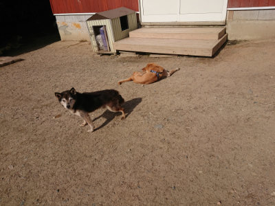 f:id:roukenhome-ann:20190519130122j:plain