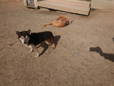 f:id:roukenhome-ann:20190519130127j:plain
