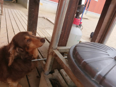 f:id:roukenhome-ann:20190519130142j:plain