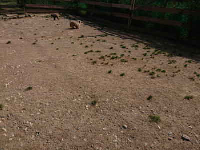 f:id:roukenhome-ann:20190519130153j:plain
