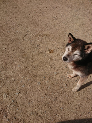 f:id:roukenhome-ann:20190519130200j:plain