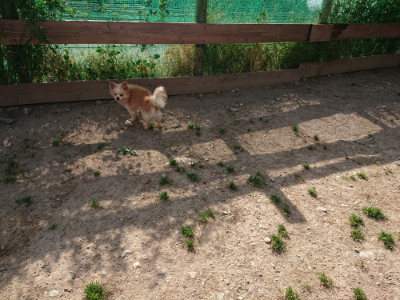 f:id:roukenhome-ann:20190519130205j:plain