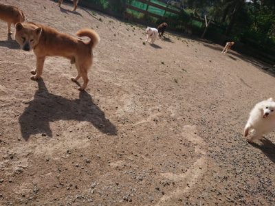 f:id:roukenhome-ann:20190519133153j:plain
